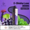 Elfbar E-Shisha Luxe 30000 Puffs Grape Mint