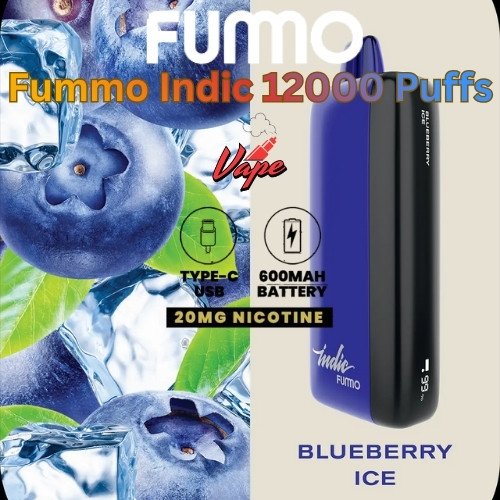 Fummo Indic 12000 Puffs 20MG Blueberry Ice