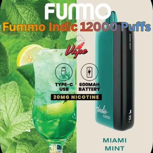 Fummo Indic 12000 Puffs 20MG Miami Mint