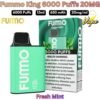 Fummo King 6000 Puffs 20MG Fresh Mint in UAE