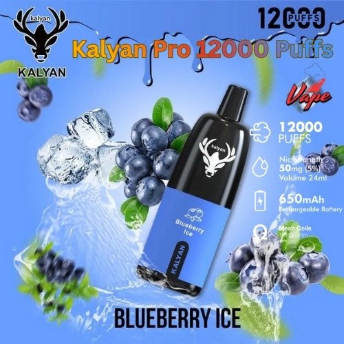 Kalyan Pro 12000 Puffs Blueberry Ice
