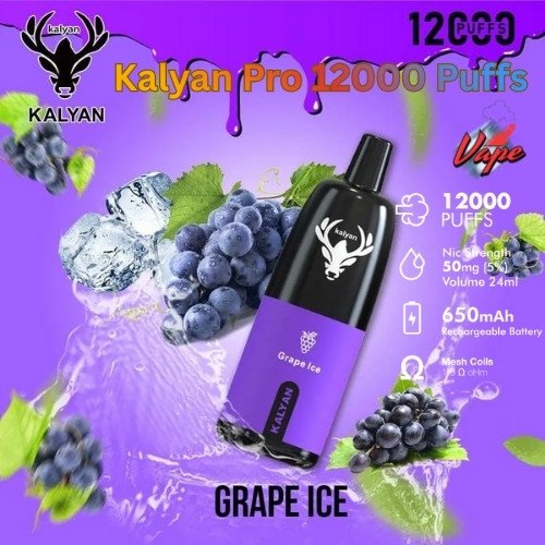 Kalyan Pro 12000 Puffs Grape Ice