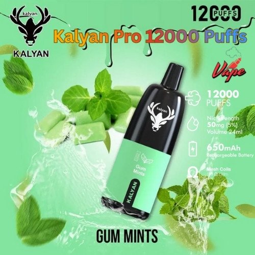 Kalyan Pro 12000 Puffs Gum Mints