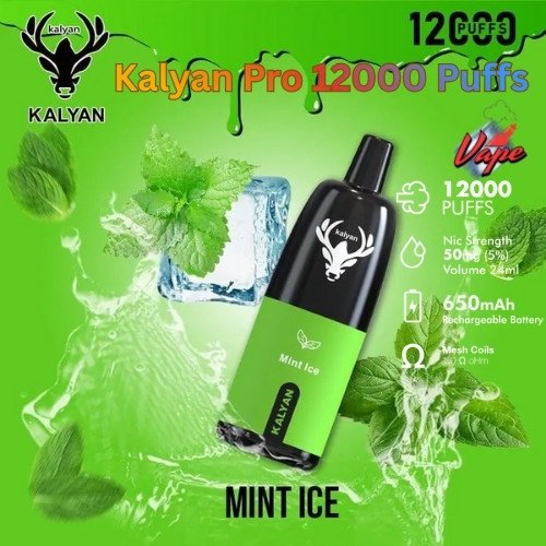 Kalyan Pro 12000 Puffs Mint Ice