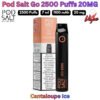 Pod Salt Go 2500 Puffs 20MG Cantaloupe Ice in UAE