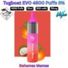 Tugboat EVO 4500 Puffs 50MG Bahamas Mamas in Abu Dhabi