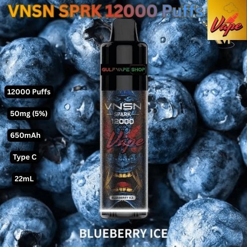 VNSN SPARK 12000 Puffs Blueberry Ice