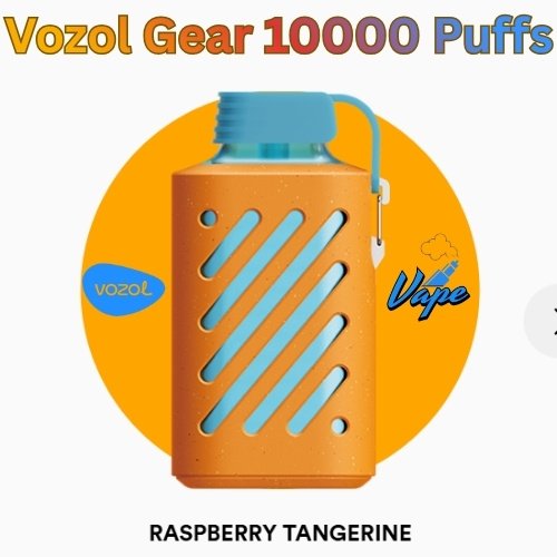 Vozol Gear 10000 Puffs Raspberry Tangerine