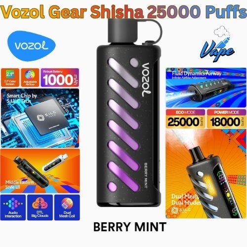 Vozol Gear Shisha 25000 Puffs Berry Mint