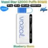 Vozol Star 12000 Puffs 50MG Blueberry Storm in UAE