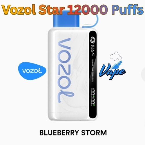 Vozol Star 12000 Puffs Blueberry Storm