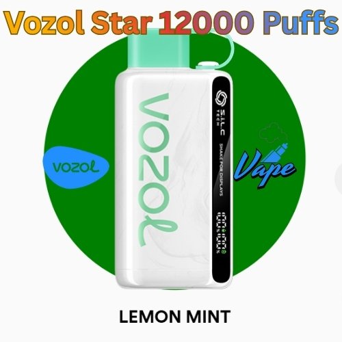 Vozol Star 12000 Puffs Lemon Mint