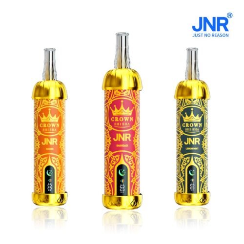 JNR Mega Shisha Hookah 100000 Puffs 50MG Flavors
