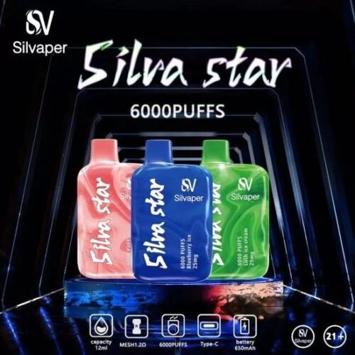 Silvaper Silva Star 6000 Dubai – The Compact Starter