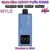 Myle Slim 12000 Puffs 50MG Blueberry Mint in ABu Dhabi