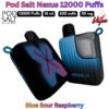 Pod Salt Nexus 12000 Puffs 50MG Blue Sour Raspberry in UAE