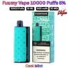 Fuumy Vape 10000 Puffs 50MG Cool Mint Disposable Vape in UAE