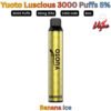 Yuoto Luscious 3000 Puffs 50MG Banana Ice Disposable Vape in UAE