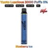 Yuoto Luscious 3000 Puffs 50MG Blueberry Ice Disposable Vape in UAE